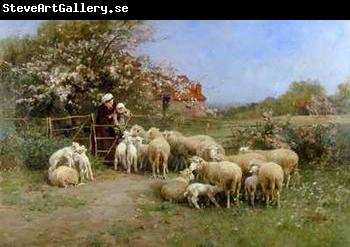unknow artist Sheep 111